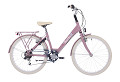 Flower-Fun-26-Old-Rose-2025-0