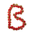 Flower-Garland-Red--0